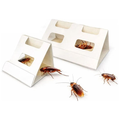 Trampa pegajosa para cucaracha 6 pcs