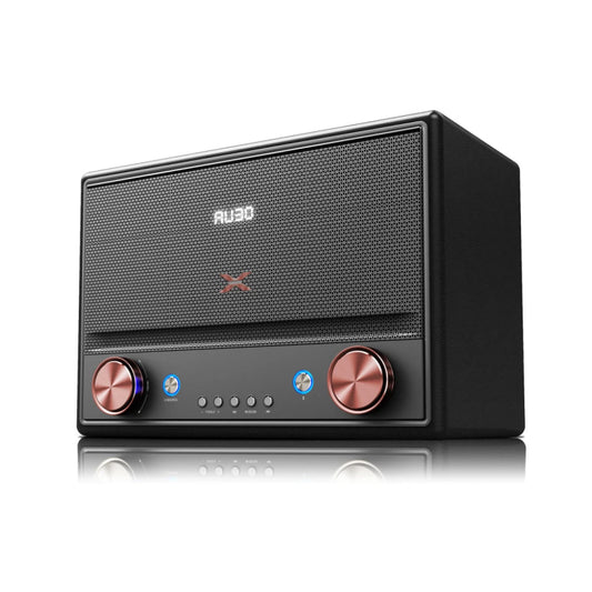 parlante retro xion potencia 10.000w pmpo