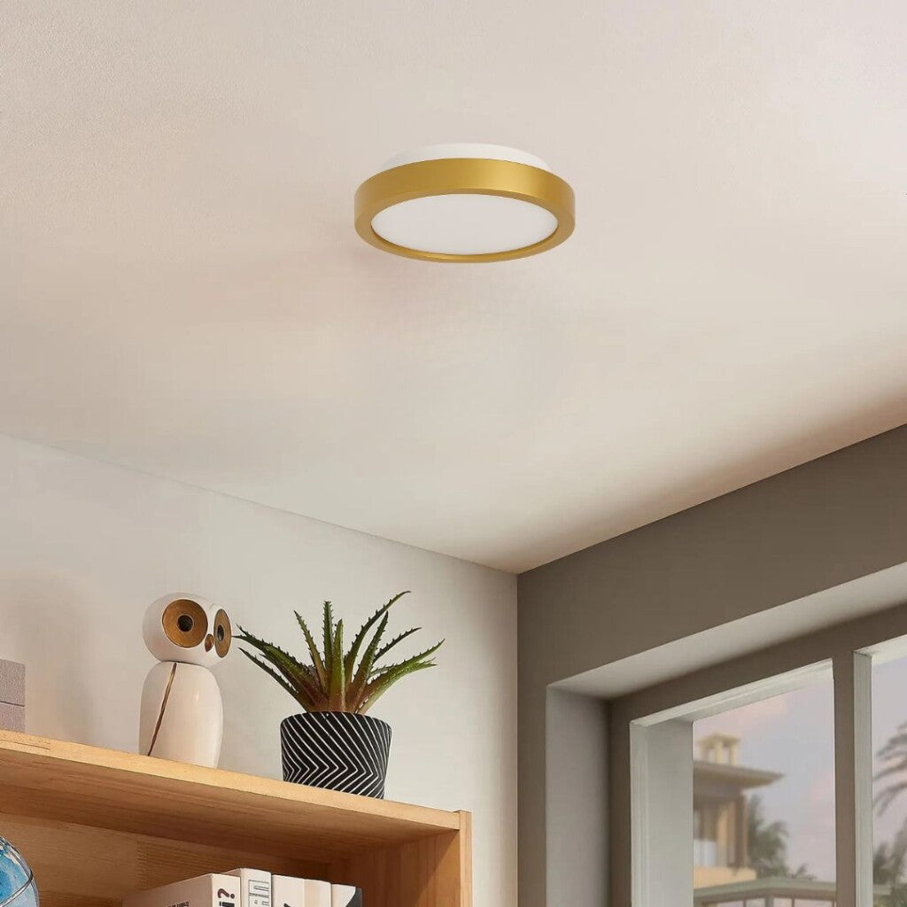 Plafón LED pequeño moderno, Dimerizable 15W 20CM