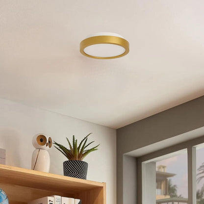 Plafón LED pequeño moderno, Dimerizable 15W 20CM