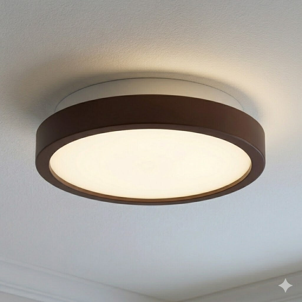 Plafón LED pequeño moderno, Dimerizable 15W 20CM