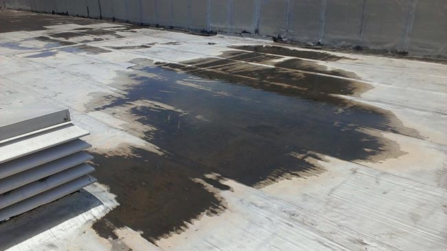 Inspección de azotea o membrana deteriorada