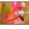 TELEVISOR LED