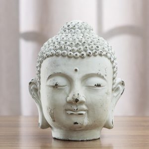 Buda Cabeza – Diseño 1