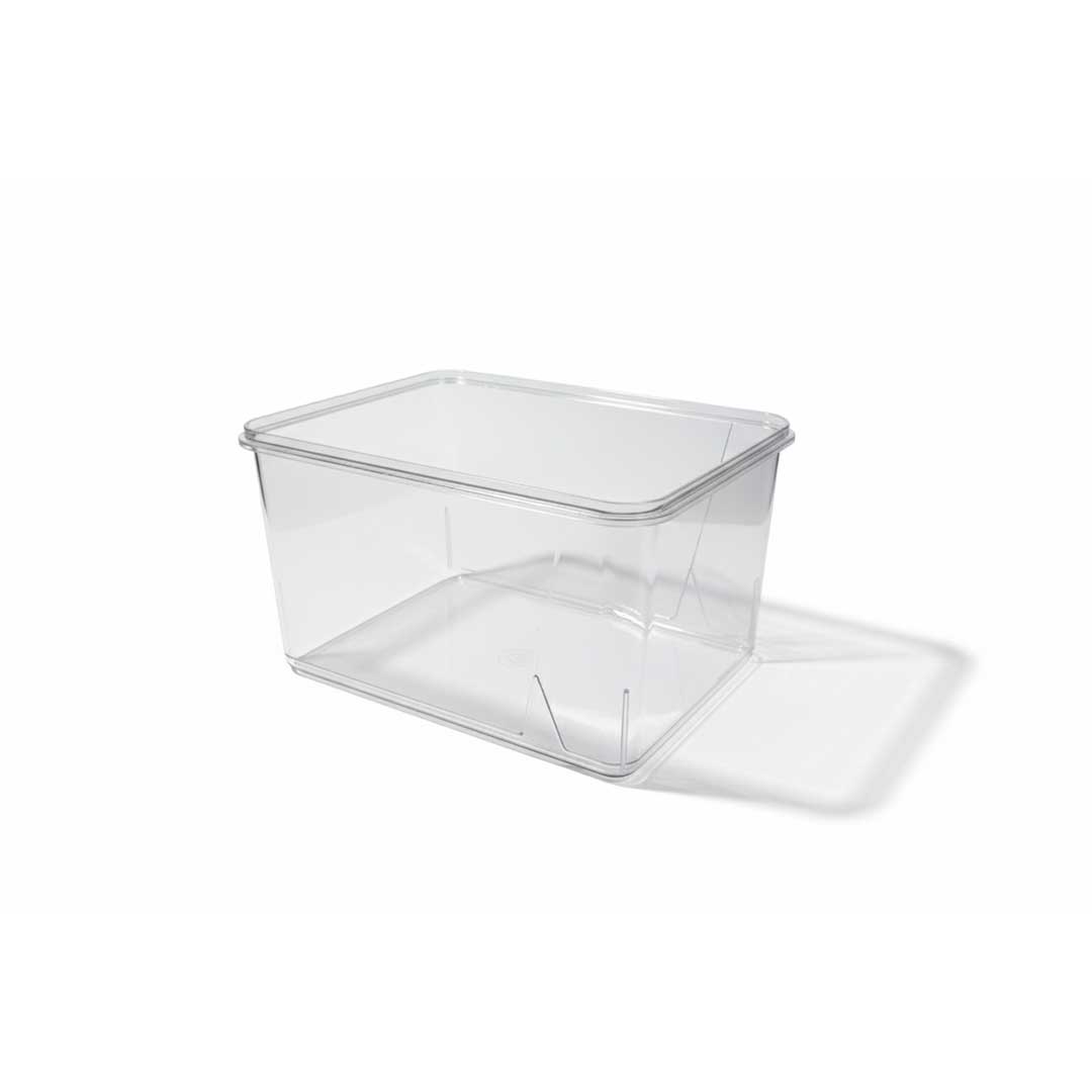 CAJA ORGANIZADORA C/TAPA HERMETICA ED9055 - Imagen 11