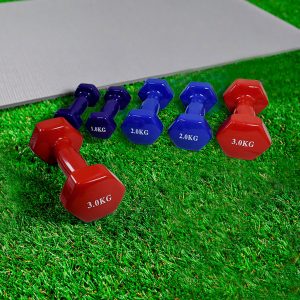 JUEGO DE PESAS 12KG EN ESTUCHE (3K/2K/1K) LH-4939