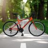 BICICLETA BACCIO ALPINA MAN 26