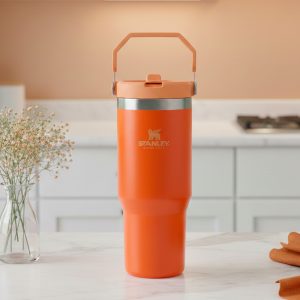 VASO STANLEY FLIP STRAW TUMBLER 20 OZ TIGERLILY