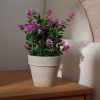 Planta Decorativa Floral