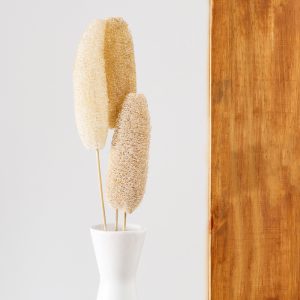Ramo Decorativo
