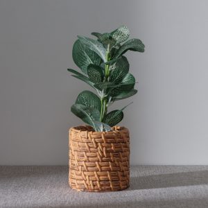 Plantita Decorativa En Maceta